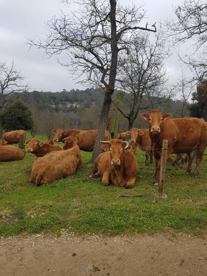 Harveys Homestay - Adults Only Mieres  Zewnętrze zdjęcie